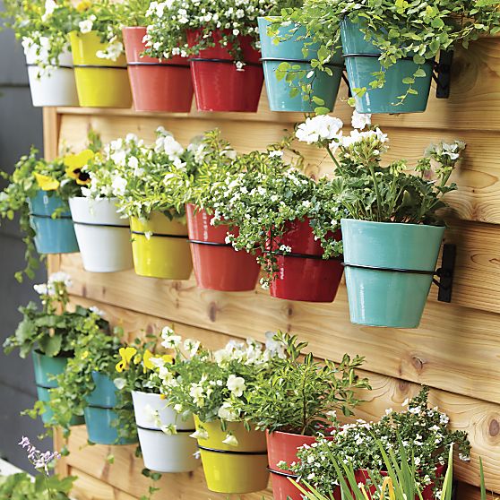 wall-planter-hooks-set-of-three
